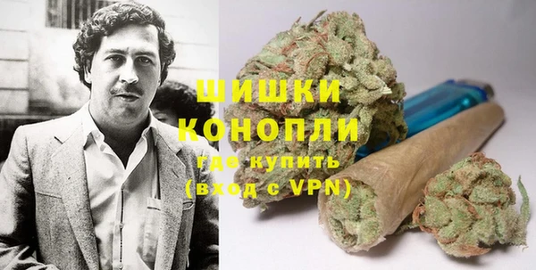 PSILOCYBIN Аркадак