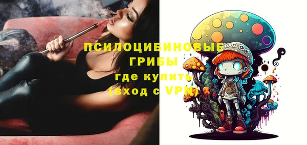 PSILOCYBIN Аркадак