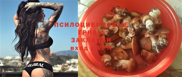 PSILOCYBIN Аркадак
