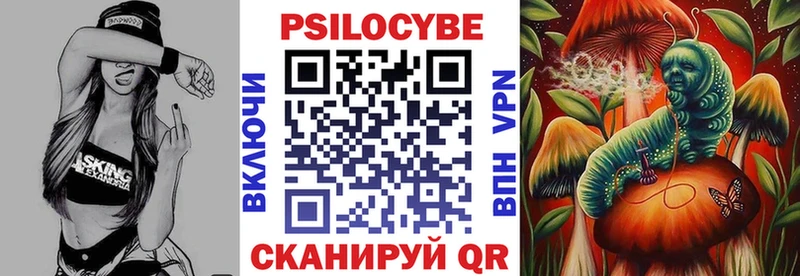 даркнет как зайти  Сухиничи  Галлюциногенные грибы мицелий 